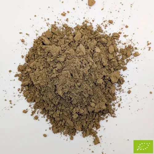 Hojicha Medium Roast Bio