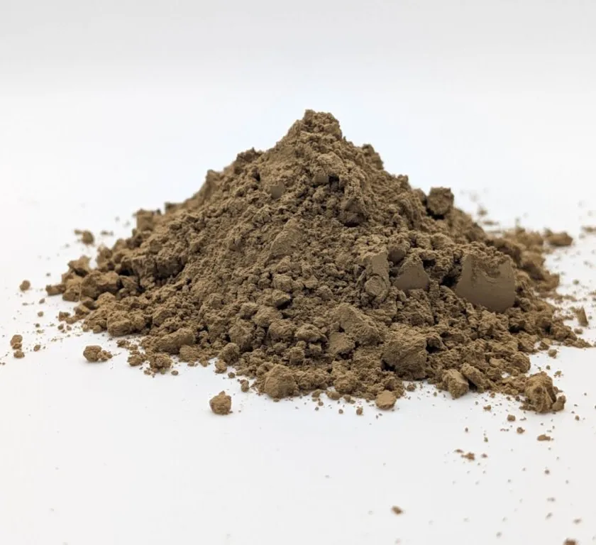 Hojicha Medium Roast Bio